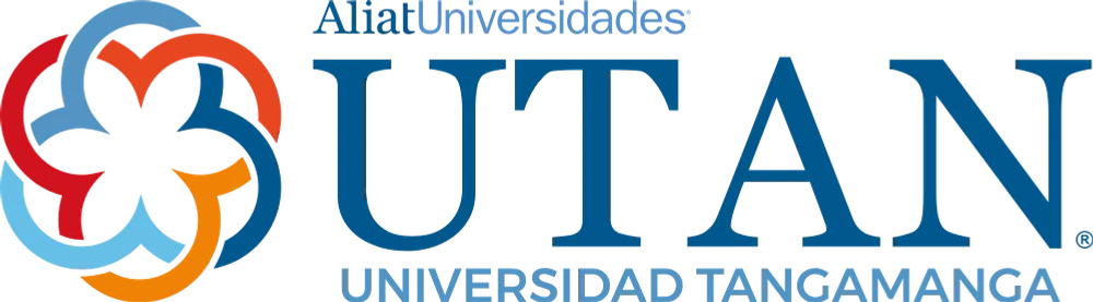 Universidades en linea